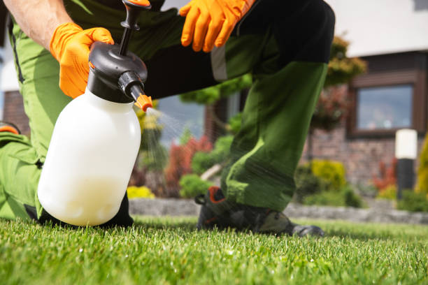 Best Wasp Removal Services  in Hawthorne, NY