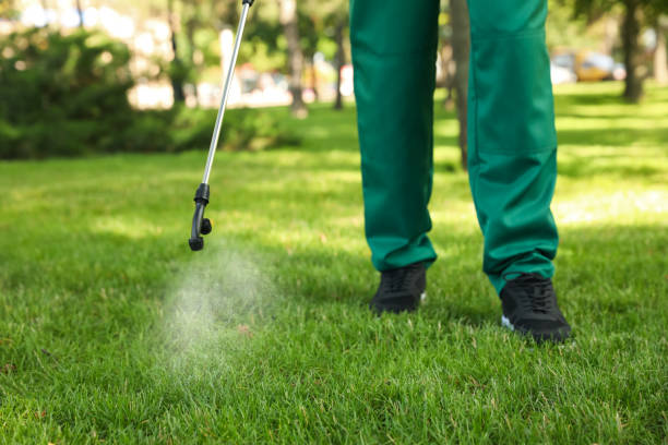 Best Local Pest Control Services  in Hawthorne, NY