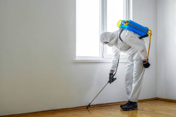 Best Emergency Pest Control  in Hawthorne, NY