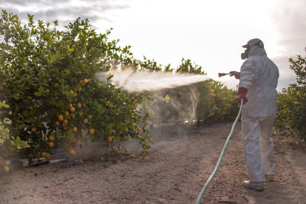 Best Cockroach Control Services  in Hawthorne, NY