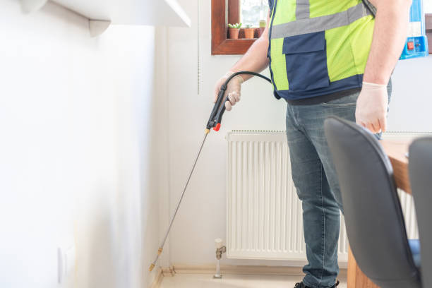 Best Ant Control Services  in Hawthorne, NY