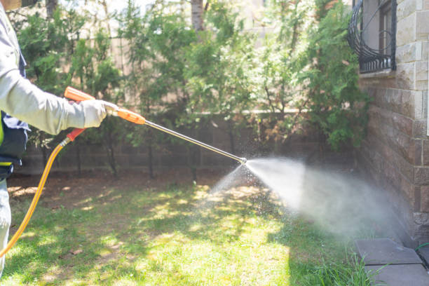 Best Affordable Pest Control Services  in Hawthorne, NY
