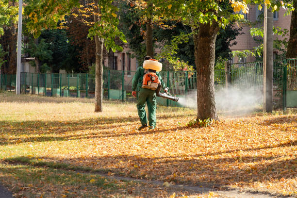 Best Bed Bug Extermination  in Hawthorne, NY