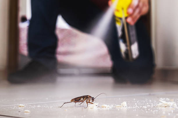 Best Best Pest Control Companies  in Hawthorne, NY