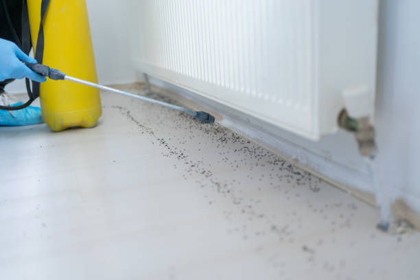 Best Pest Control for Restaurants  in Hawthorne, NY