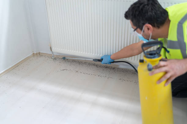 Best Mosquito Control Services  in Hawthorne, NY