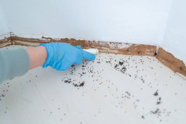 Best Commercial Pest Control Services  in Hawthorne, NY