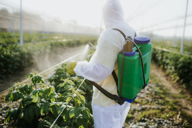 Professional Pest Control in Hawthorne, NY